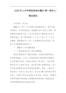 2025年上半年税务局局长履行第一责任人情况报告