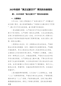2025年政府“真正过紧日子”情况的自查报告（共11篇）
