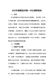 2025年最新驻村第一书记调研报告