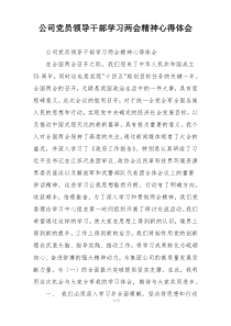 公司党员领导干部学习两会精神心得体会