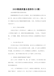 2025数据质量自查报告（21篇）