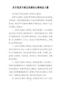关于党员干部正风肃纪心得体会3篇