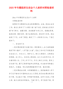 2025年专题组织生活会个人剖析对照检查材料