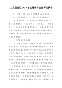 XX党委党组2025年主题教育自查评估报告