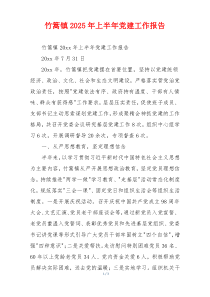 xx镇2025年上半年党建工作报告