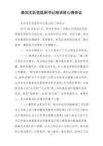 参加支队党组织书记培训班心得体会