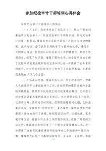 参加纪检审计干部培训心得体会