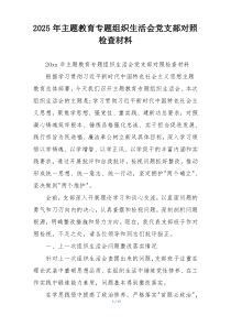 2025年主题教育专题组织生活会党支部对照检查材料