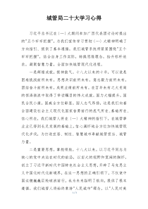 城管局二十大学习心得