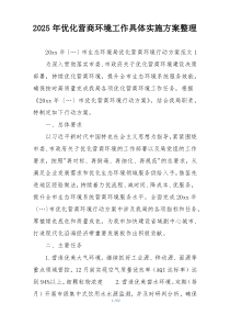 2025年优化营商环境工作具体实施方案整理