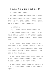 上半年工作目标情况自查报告（3篇）