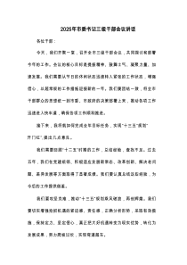 2025年市委书记三级干部会议讲话(二篇)
