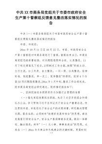 中共XX市商务局党组关于市委市政府安全生产第十督察组反馈意见整改落实情况的报告