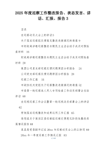 2025年度巡察工作整改报告、表态发言、讲话、汇报、报告3