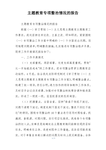 主题教育专项整治情况的报告