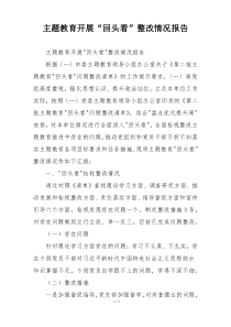 主题教育开展“回头看”整改情况报告