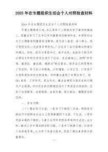 2025年在专题组织生活会个人对照检查材料