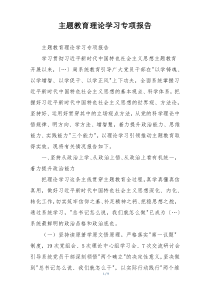 主题教育理论学习专项报告