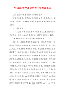 乡2025年度基层党建工作整改报告