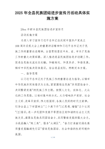 2025年全县民族团结进步宣传月活动具体实施方案
