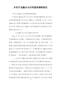 乡村产业融合与共同富裕调研报告