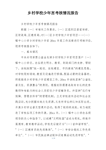 乡村学校少年宫考核情况报告