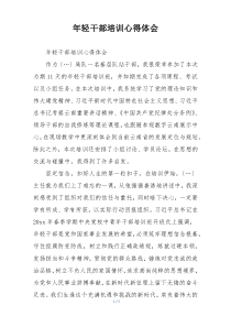 年轻干部培训心得体会