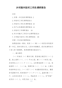 乡村振兴驻村工作队调研报告