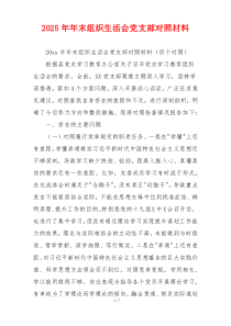 2025年年末组织生活会党支部对照材料