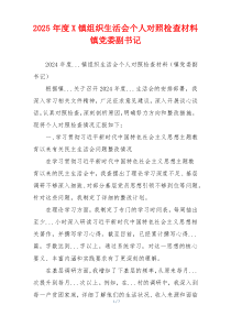 2025年度X镇组织生活会个人对照检查材料镇党委副书记