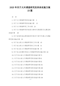 2025年关于大兴调查研究的具体实施方案23篇