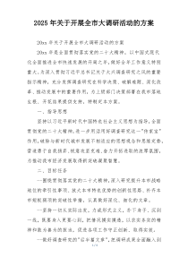 2025年关于开展全市大调研活动的方案