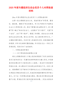 2025年度专题组织生活会党员个人对照检查材料
