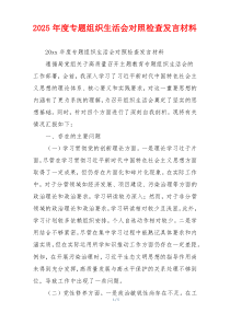 2025年度专题组织生活会对照检查发言材料