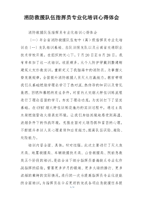 消防救援队伍指挥员专业化培训心得体会