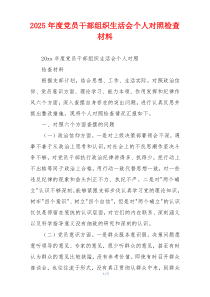 2025年度党员干部组织生活会个人对照检查材料