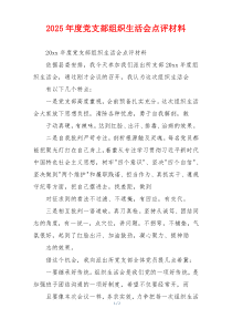 2025年度党支部组织生活会点评材料