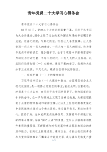 青年党员二十大学习心得体会