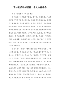 青年党员干部观看二十大心得体会