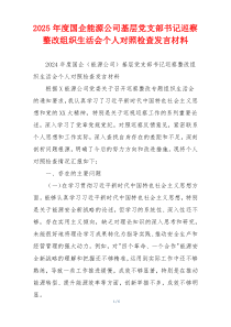 2025年度国企能源公司基层党支部书记巡察整改组织生活会个人对照检查发言材料