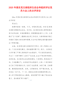 2025年度在党支部组织生活会和组织评议党员大会上的点评讲话