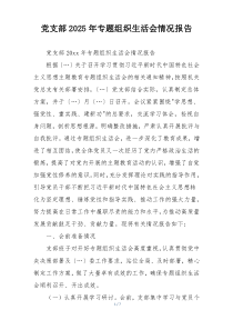 党支部2025年专题组织生活会情况报告