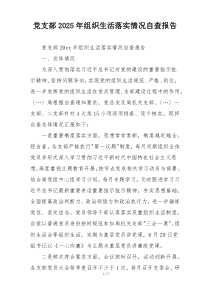 党支部2025年组织生活落实情况自查报告