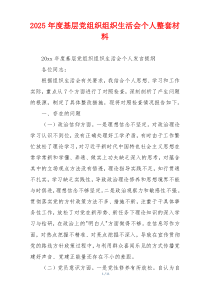 2025年度基层党组织组织生活会个人整套材料
