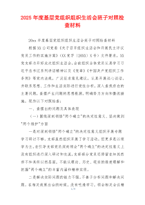 2025年度基层党组织组织生活会班子对照检查材料