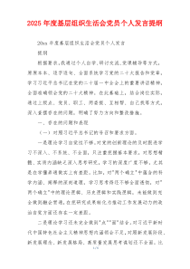 2025年度基层组织生活会党员个人发言提纲