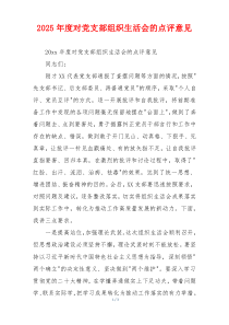 2025年度对党支部组织生活会的点评意见