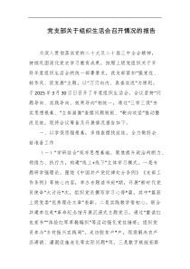 党支部关于组织生活会召开情况的报告