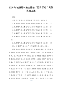 2025年城镇燃气安全整治“百日行动”具体实施方案