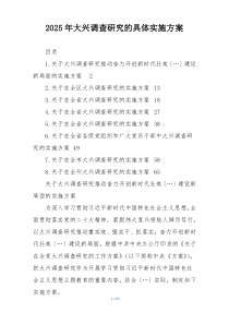 2025年大兴调查研究的具体实施方案